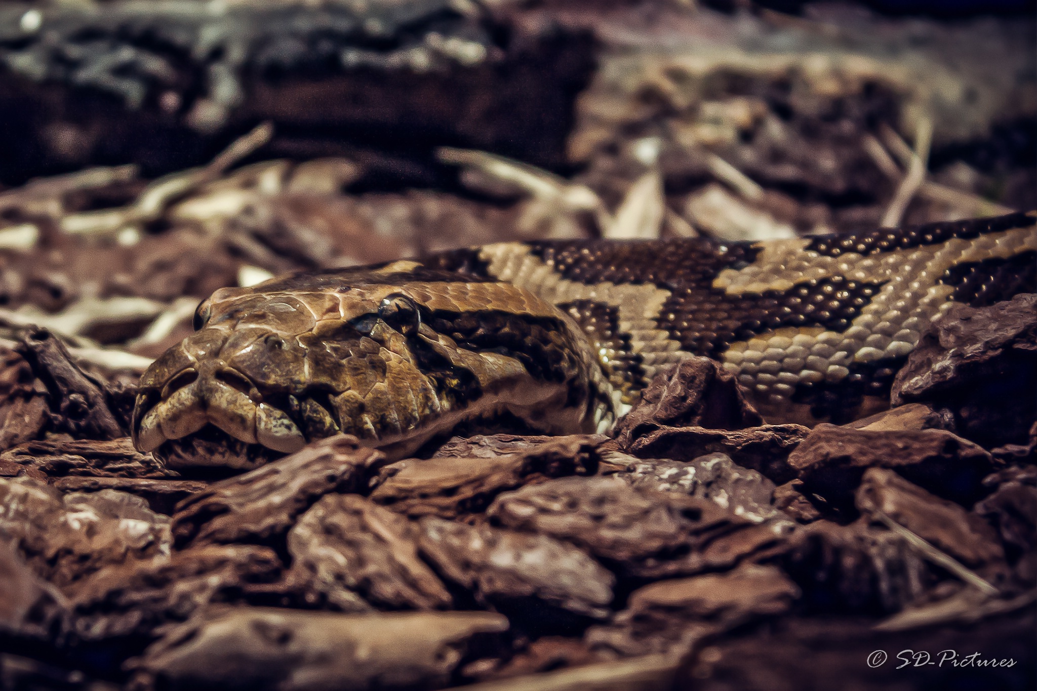 WEB IMG 2777 als Smartobjekt 1 Kopie